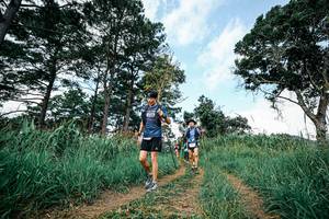 BIB: 
                            <button type="button" onclick="openModal(26039171)" class="btn btn-primary btn-sm float-right btn-popup" data-toggle="modal" data-target=".modal-high-quality">
                        <i class="fas fa-shopping-cart"></i> Add to Cart
                    </button>
                                            <button type="button" onclick="isThisMe(26039171, true)" class="btn btn-success btn-sm float-right btn-popup btn-isme hidden" data-toggle="tooltip" data-placement="bottom" title="นี่คือรูปของคุณใช่ไหม คลิกที่นี่เพื่อเอาเข้าอัลบั้ม">
                        <i class="fas fa-plus"></i> Add to album
                    </button>
                    <button type="button" onclick="isThisMe(26039171, false)" class="btn btn-warning btn-sm float-right btn-popup btn-isnotme hidden">
                        <i class="fas fa-ban"></i> Remove from album
                    </button>